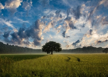 Beyond the cloud: First integrated VIoT platform launched