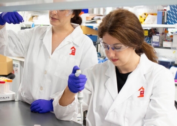 DNA based data storage and computation provider CATALOG raises $10m