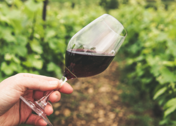 Concha y Toro combines tradition with technology to influence winemaking