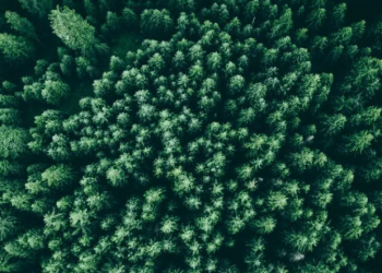 Helping charities to unlock the value of data