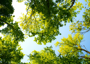 New tech platform will help solve global sustainable challenges