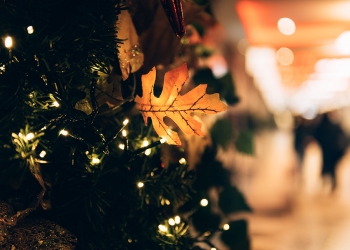 CyberScotland urges businesses to be aware ahead of Christmas