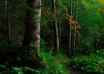 NTT and Schneider Electric join forces to power IoT environments