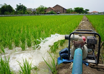 A pumping station powered by Delta is delivering irrigation in South Africa