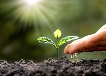 Cato joins Infrastructure Masons Climate Accord