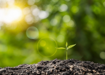 ABB collaborates with Microsoft to reinforce commitment to low-carbon