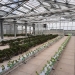 Equinix uncovers rooftop urban farm atop Parisian data centre