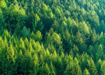 Schneider Electric updates data centre sustainability metrics reporting framework