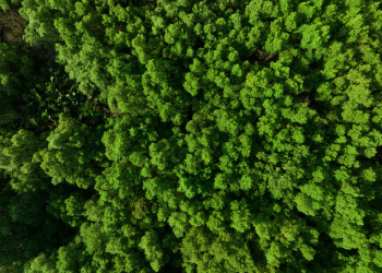 White paper by the EUDCA explains relevance of data centre carbon reporting