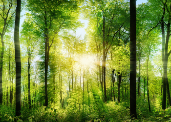 Digital Realty completes $6.0bn green bond allocation