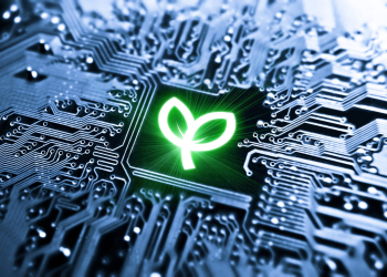 On the edge of sustainability