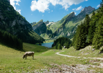 Keepit to open two new data centres in Switzerland