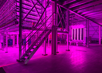 Verne partners with VAXA