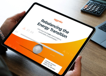 CEOs adjust net zero timescales and investment, report finds