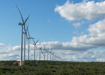 ODATA and Casa dos Ventos to drive sustainable growth