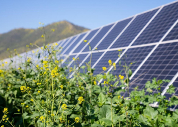 Chilean data centres to be powered with renewable energy