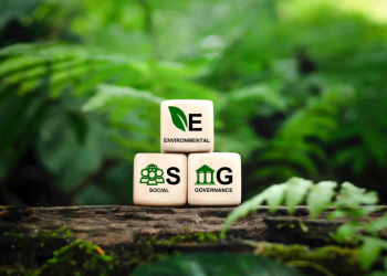 Siemon releases 2024 ESG Report