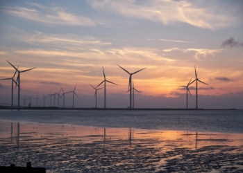 Renewables key to public support for DCs, says report