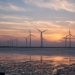 Renewables key to public support for DCs, says report