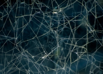 DE-CIX becomes first in India to integrate Starlink