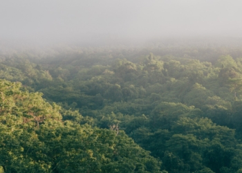 CleanArc adds 300 MW to planned Virginia campus