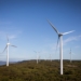 Australia could cut AI emissions through data centres