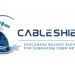 ESA funds €1.5m automated satellite backup for subsea cables