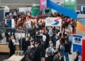 Fibre Horizons responds to rapidly changing fibre ecosystem